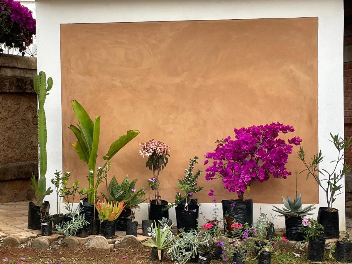 Appartements D'Hotes Marciloui Antsirabe Esterno foto